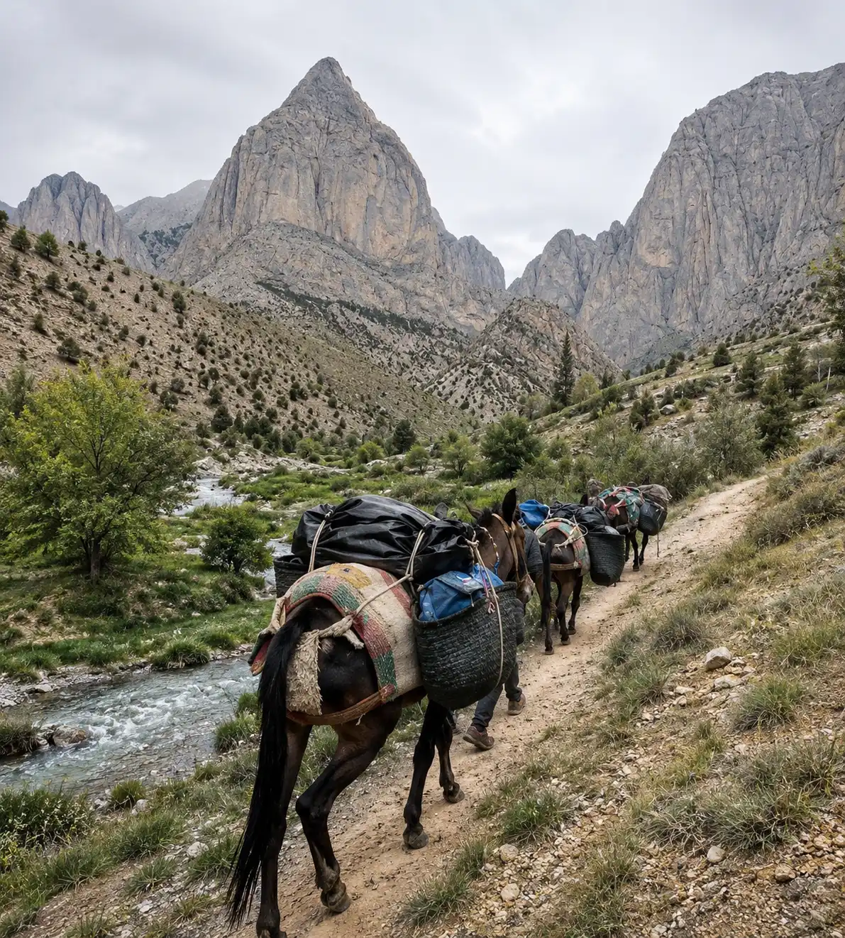 Les meilleures expériences à vivre à Taghia pour une première visite