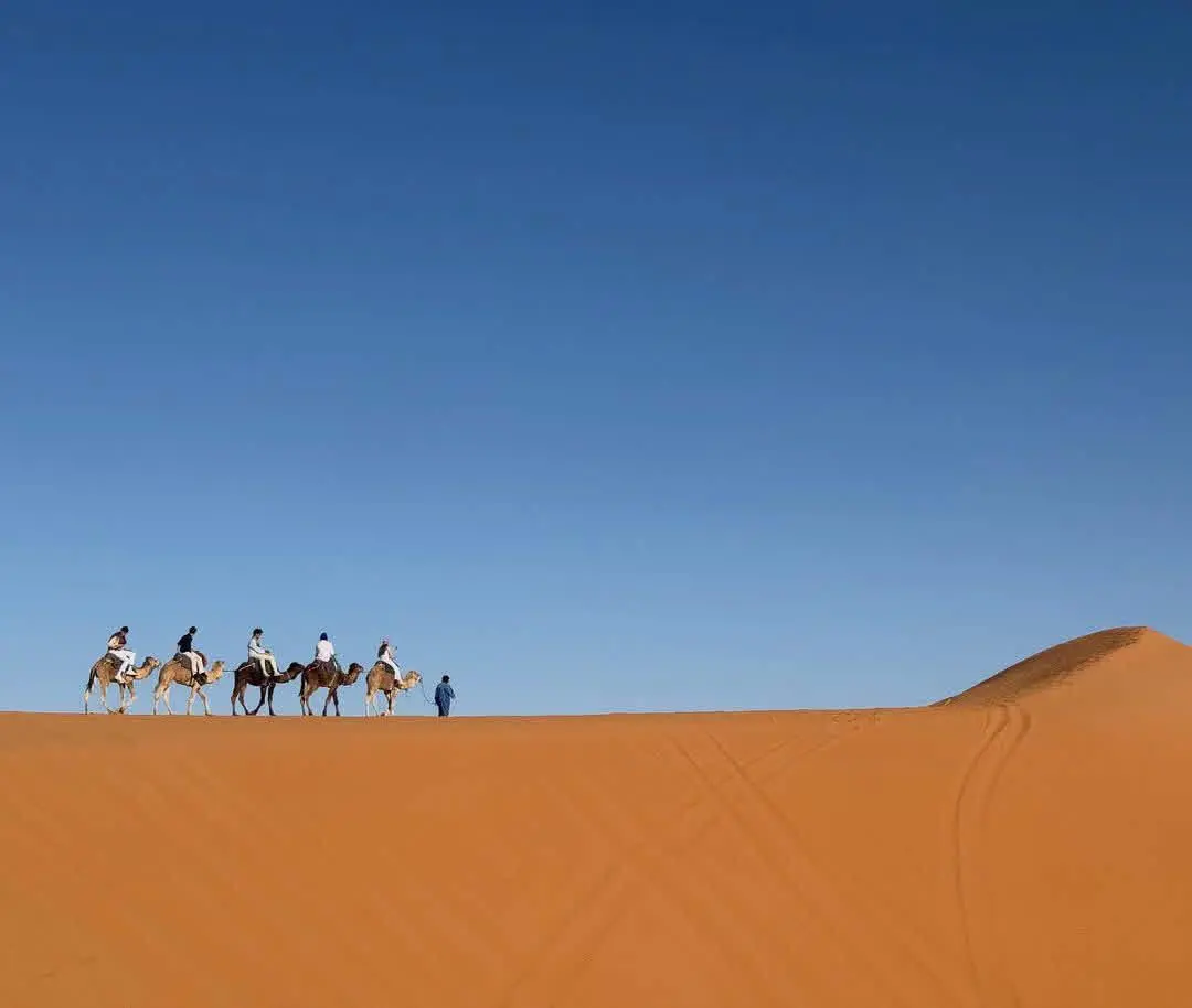 صحراء الرشيدية في المغرب – دليل وادي زيز ومرزوكة وعرق الشبي — 1
