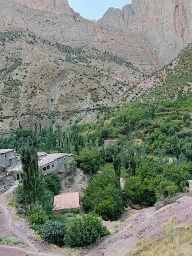 taghia maroc
