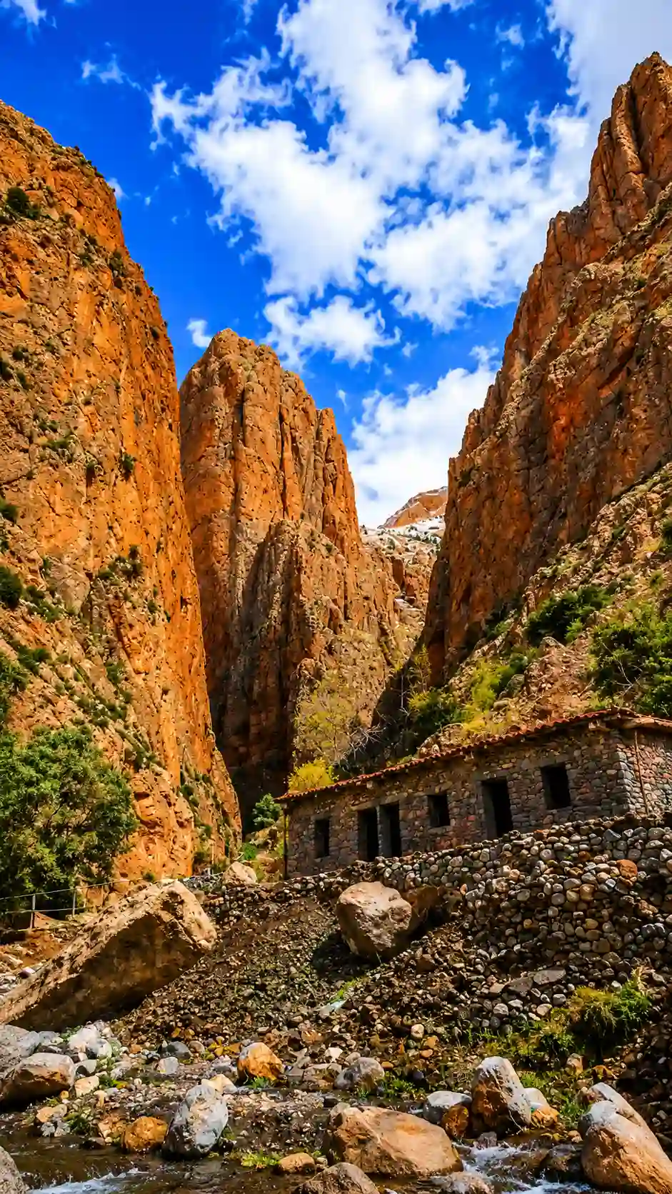 Taghia Morocco