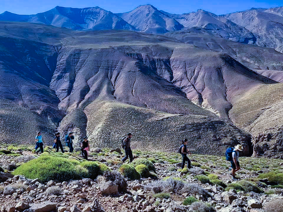 Taghia Morocco